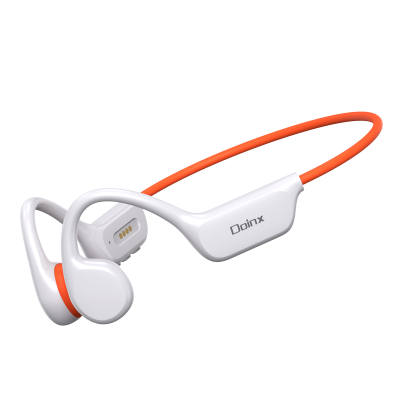 Enjoy Wireless Headphones