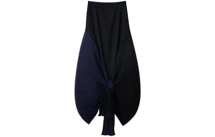 LOEWE Casual Long Skirts Women's Black Moderate Long Other