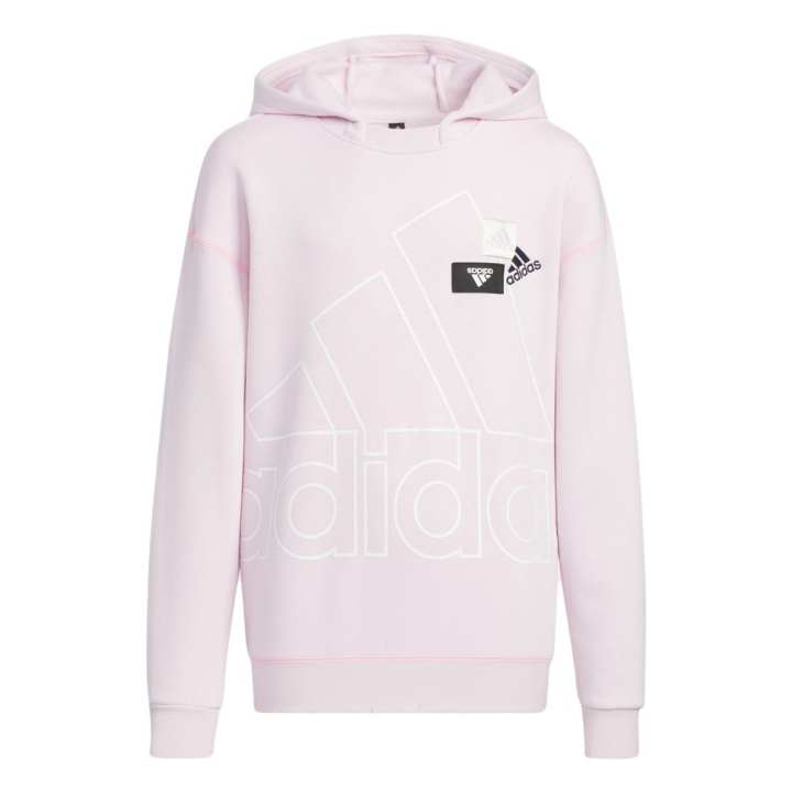Adidas Adidas Kids Sweatshirts Hooded Thickened