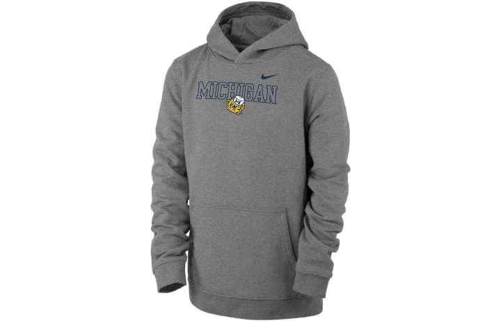 Nike Nike Kids Sweatshirts Hooded Moderate