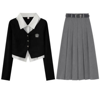 FLIM Two Piece Skirt Sets Women's V Neck Moderate