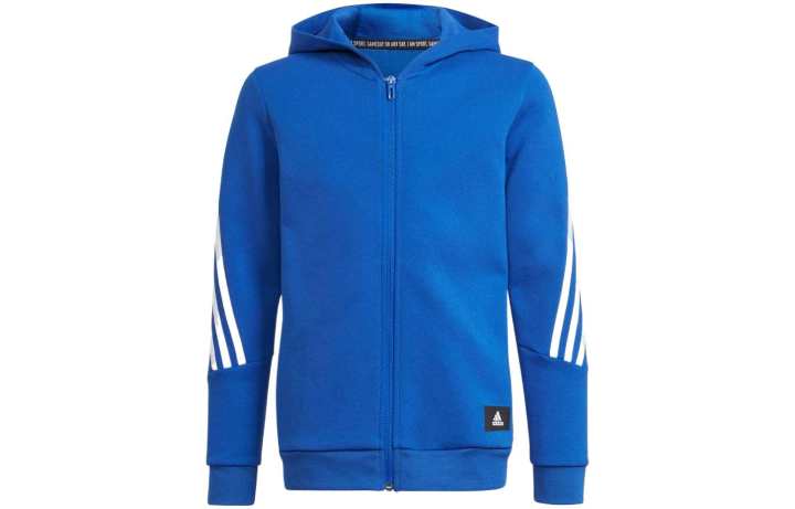 Adidas Adidas Kids Sweatshirts Hooded Moderate