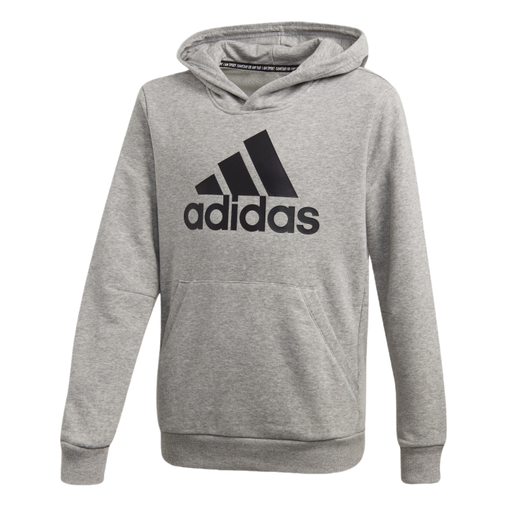 Adidas Adidas Sweatshirt Performance Gray Kids'