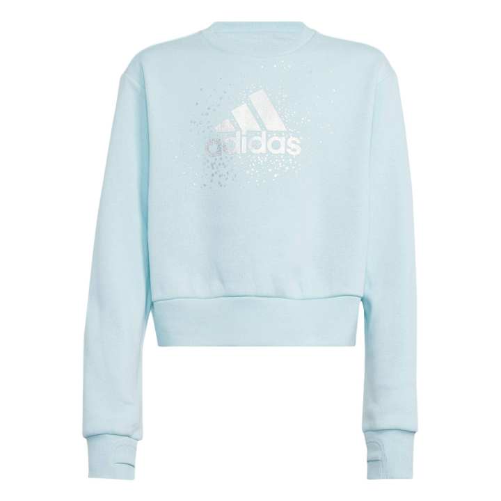 Adidas Adidas Sweatshirt SportPerformance Blue Teenagers