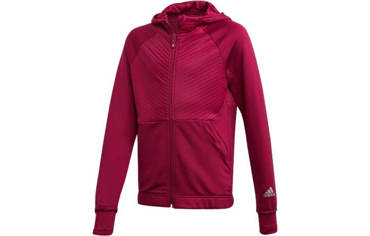 Adidas Adidas Grade School Sweatshirts Hooded Moderate