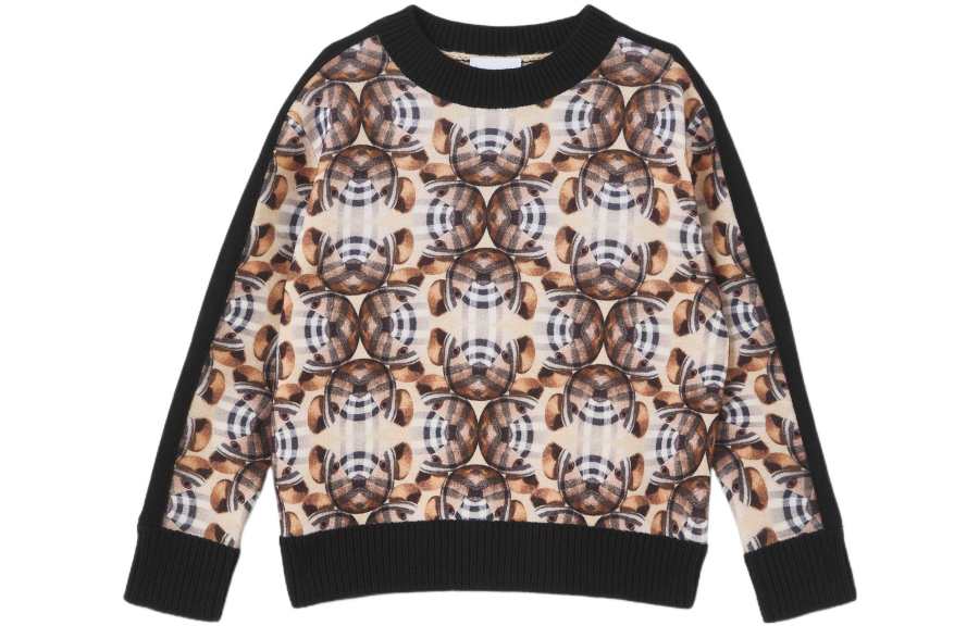 Burberry Burberry Kids Sweaters Crew Neck Moderate