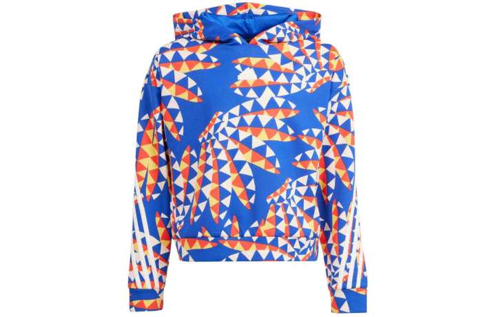 Adidas Adidas Kids Sweatshirts Hooded Moderate