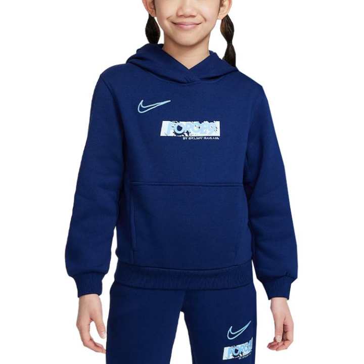 Nike Nike Kids Sweatshirts Hooded Moderate