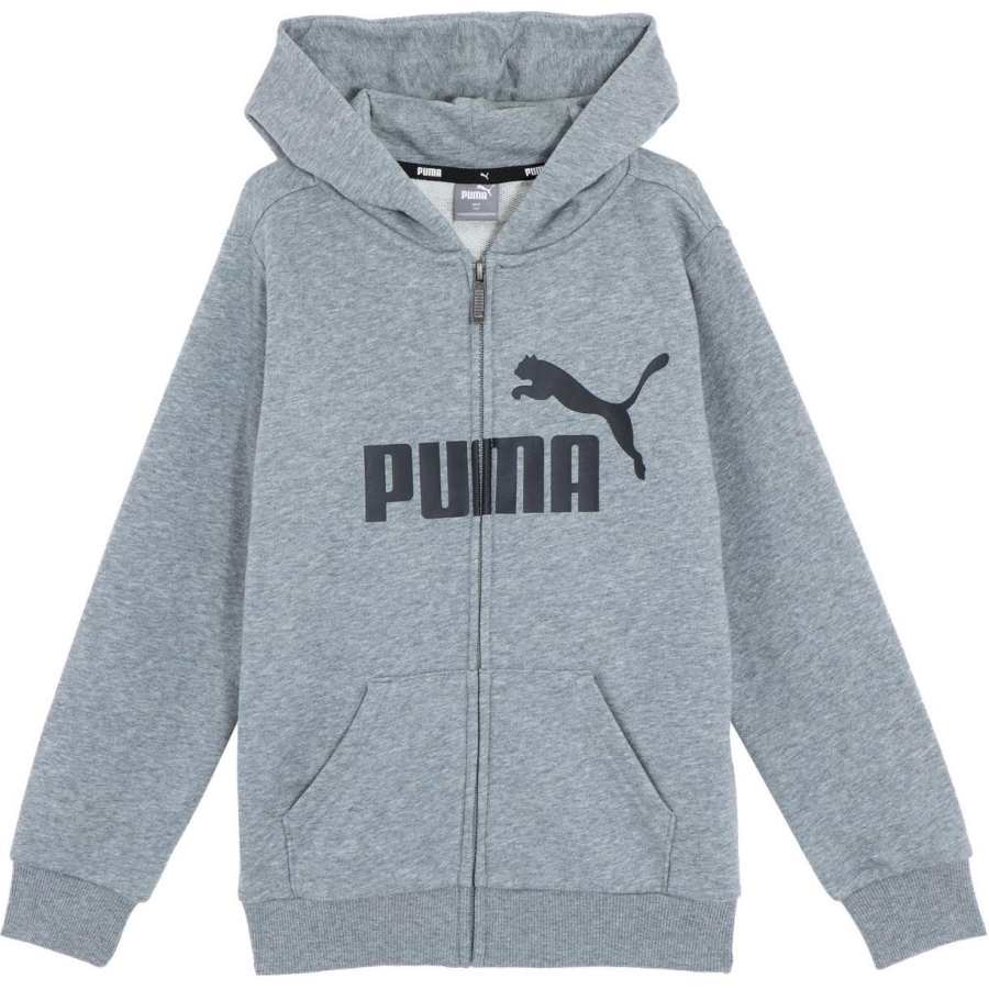 PUMA Kids Sweatshirts Hooded Moderate