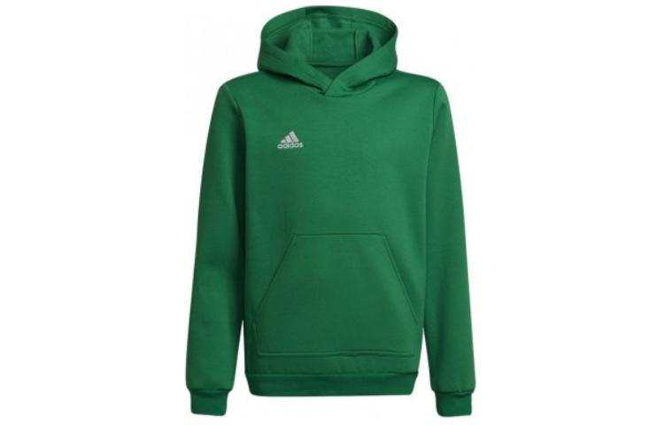 Adidas Adidas Sweatshirt Entrada 22 Green Teenagers