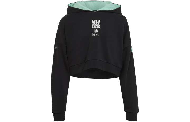 Adidas Adidas Kids Sweatshirts Hooded Moderate