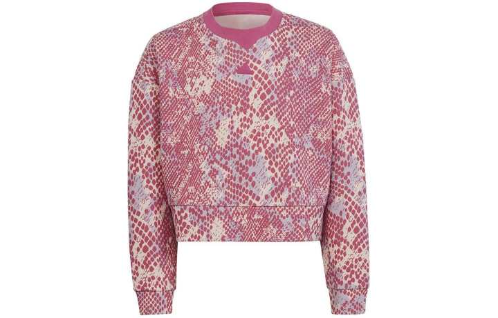 Adidas Adidas Sweatshirt Multicolor Teenagers