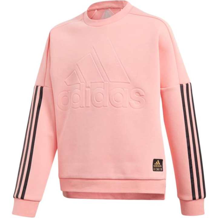 Adidas Adidas Grade School Sweatshirts Crew Neck Moderate