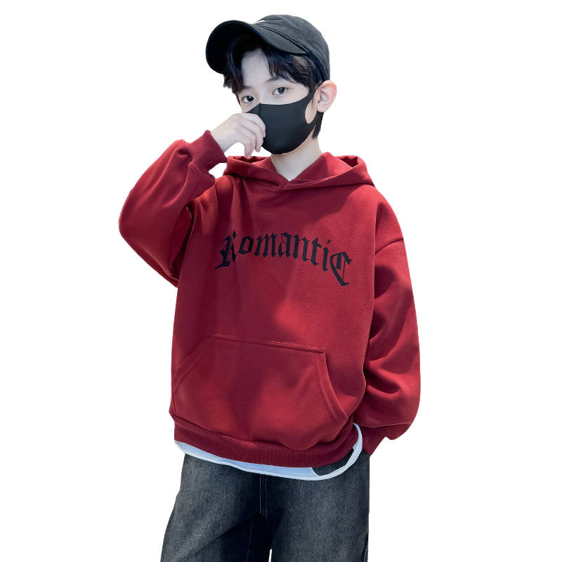 Lanza Kids Sweatshirts Hooded Moderate
