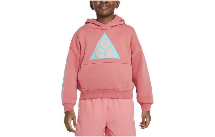 Nike Nike Kids Sweatshirts Hooded Moderate