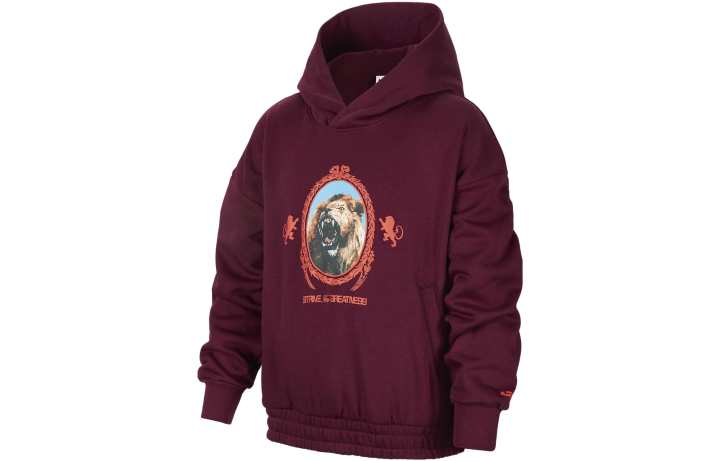 Nike Nike Kids Sweatshirts Hooded Moderate