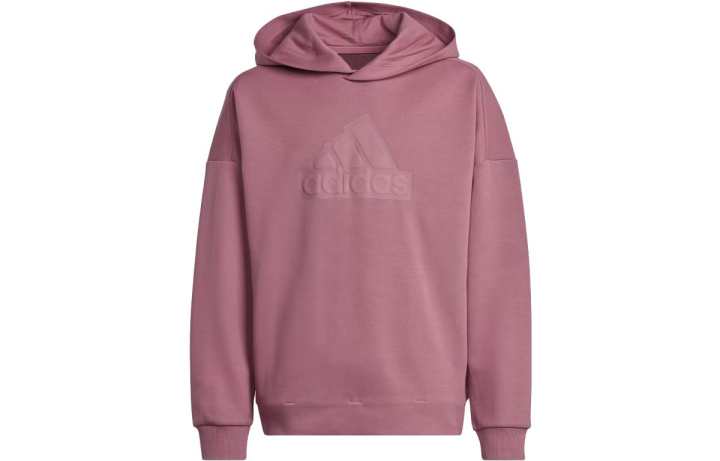 Adidas Adidas Grade School Sweatshirts Hooded Moderate