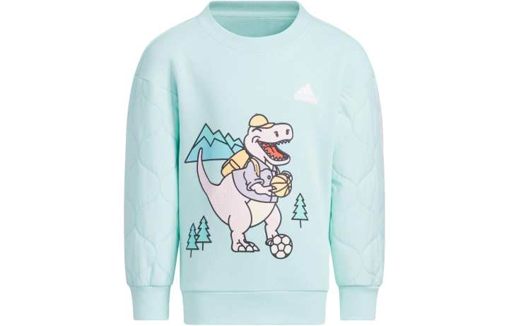 Adidas Adidas Kids Sweatshirts Crew Neck Moderate