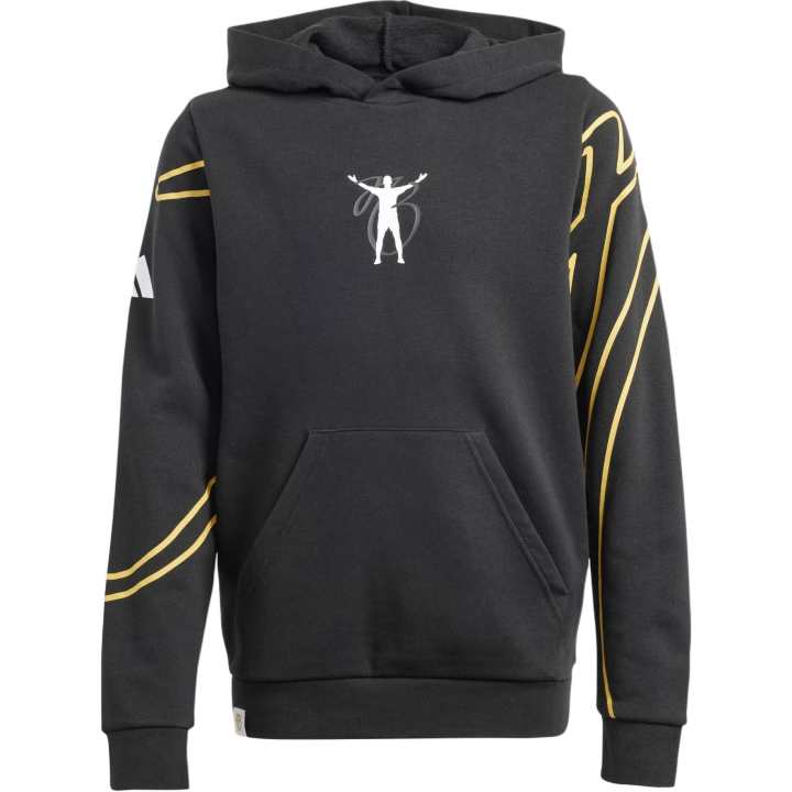 Adidas Adidas Kids Sweatshirts Hooded Moderate