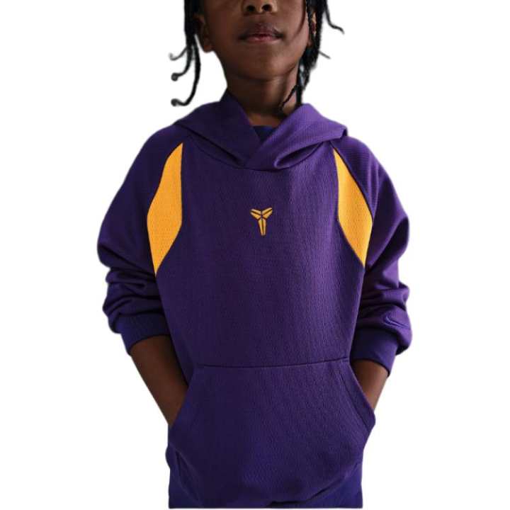 Nike Nike Kids Sweatshirts Hooded Moderate