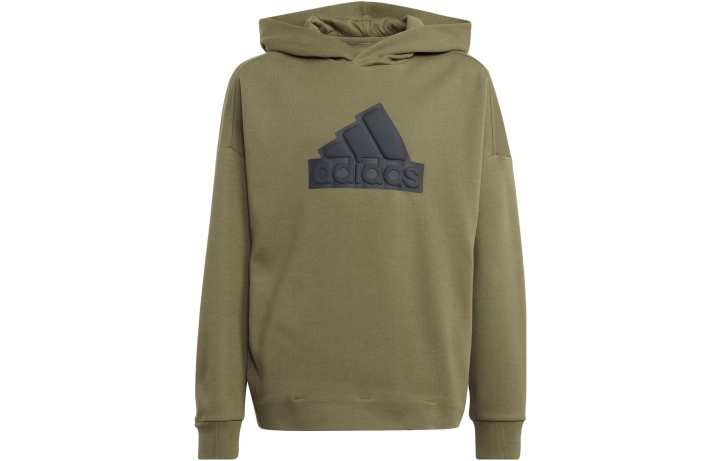Adidas Adidas Kids Sweatshirts Hooded Moderate