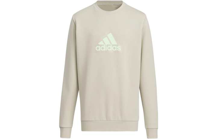 Adidas Adidas Sweatshirt FW23 Light Gray Kids'
