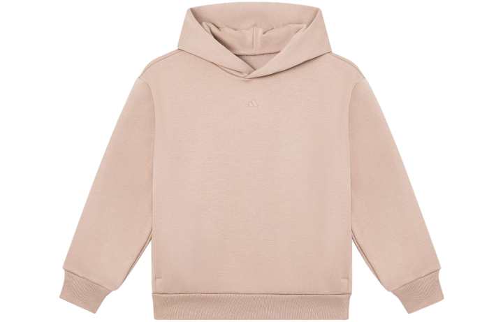 Adidas Adidas Kids Sweatshirts Hooded Moderate