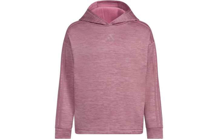 Adidas Adidas Kids Sweatshirts Hooded Moderate
