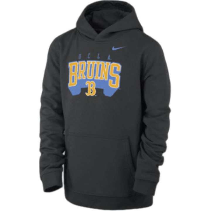 Nike Nike Kids Sweatshirts Hooded Moderate