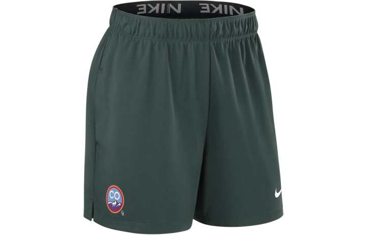 Nike Nike Sports Shorts Women's Green