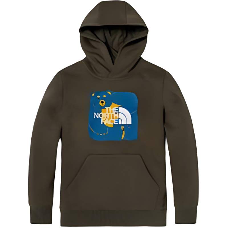 THE NORTH FACE Kids Sweatshirts Hooded Moderate