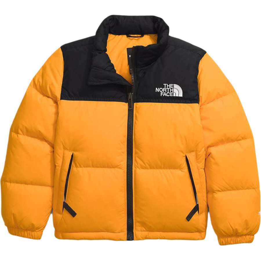 THE NORTH FACE Kids' Top Summit Gold Children Aged 3 7 Years Old