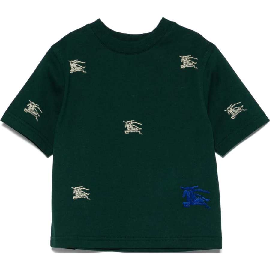 Burberry T Shirt Green Infant And Toddler