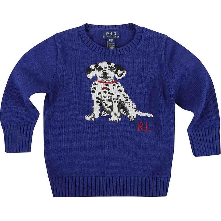 Polo Ralph Lauren Sweater Blue Kids'