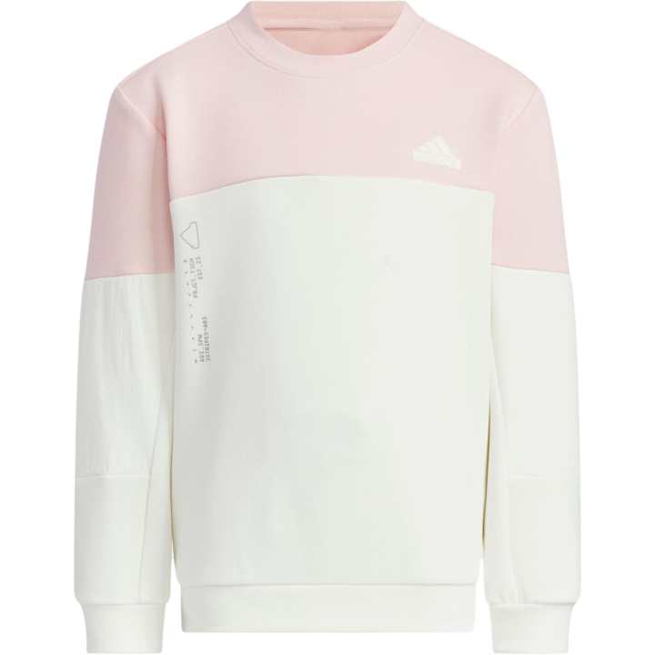 Adidas Adidas Pre School Sweatshirts Crew Neck Moderate