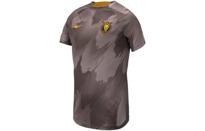 Nike Nike T Shirt Kids' Plum Blossom