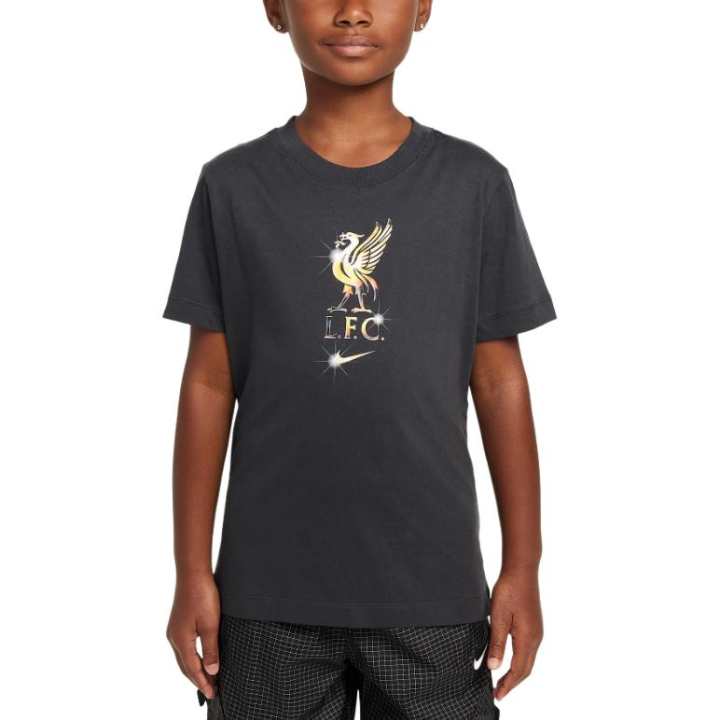 Nike Nike LiverpoolFC T Shirt FW24 Dark Smoke Gray Teenagers