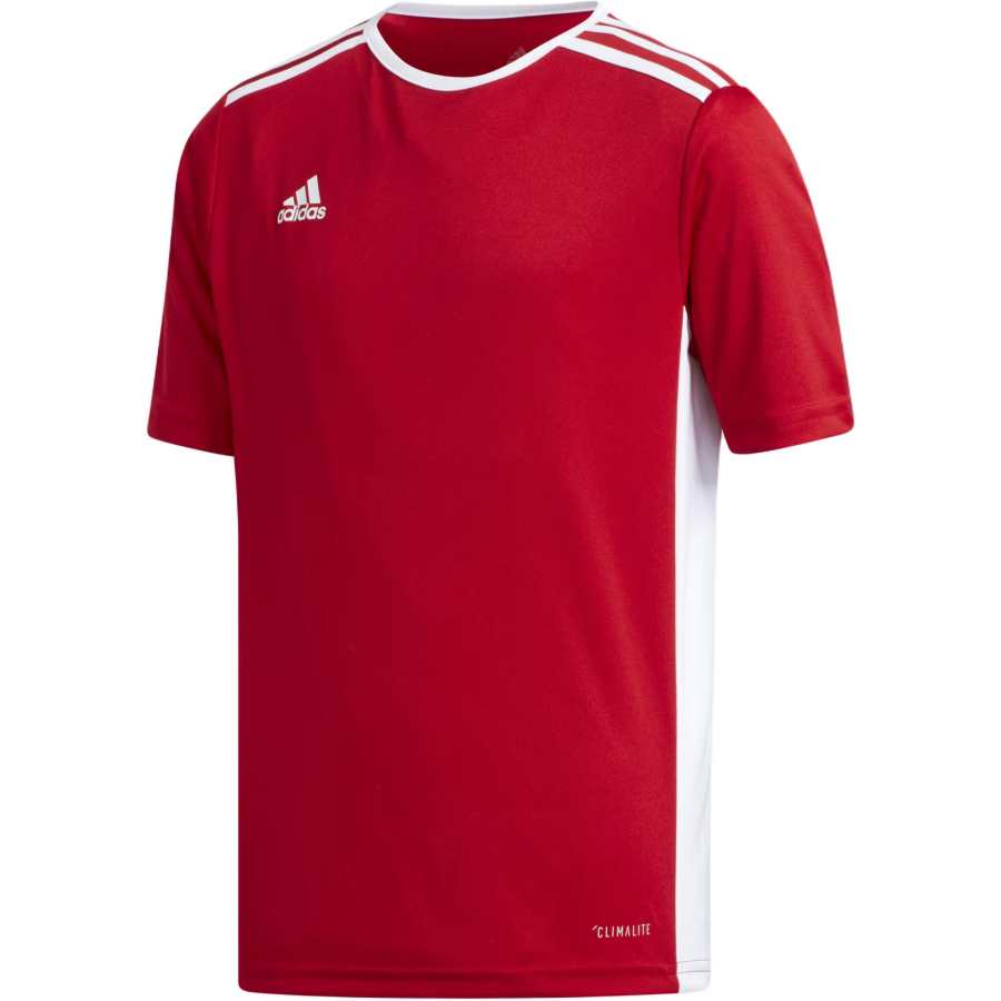 Adidas Adidas T Shirt Entrada Jersey Power Red Teenagers