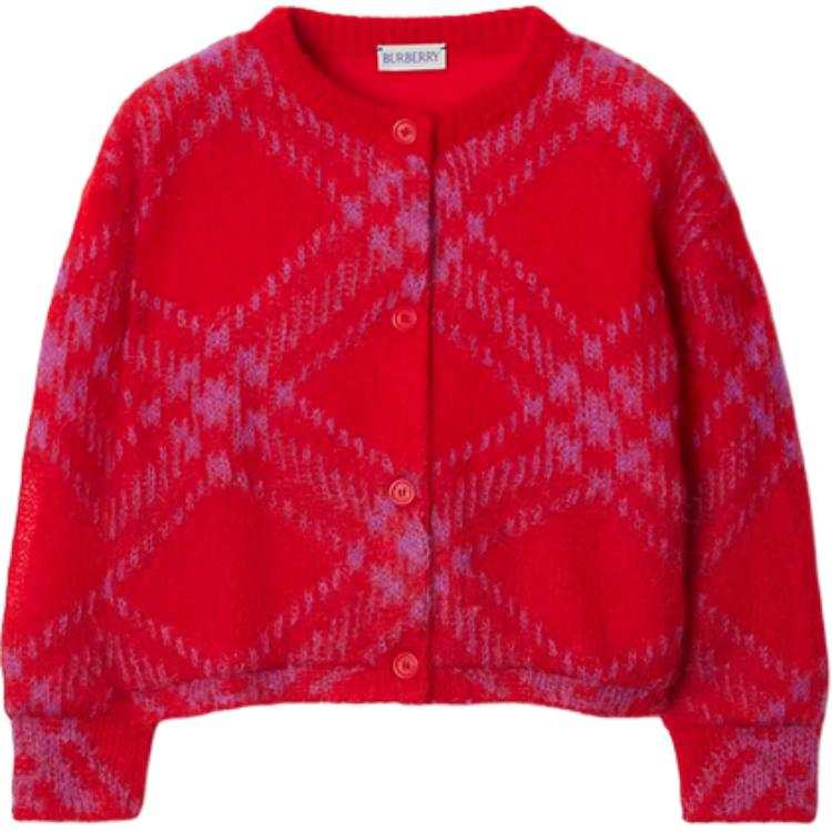 Burberry Burberry Kids Sweaters Crew Neck Moderate