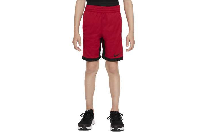 Nike Nike Kids Shorts Moderate