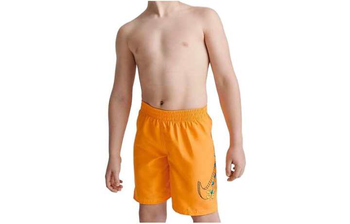 Nike Nike Kids Shorts Moderate