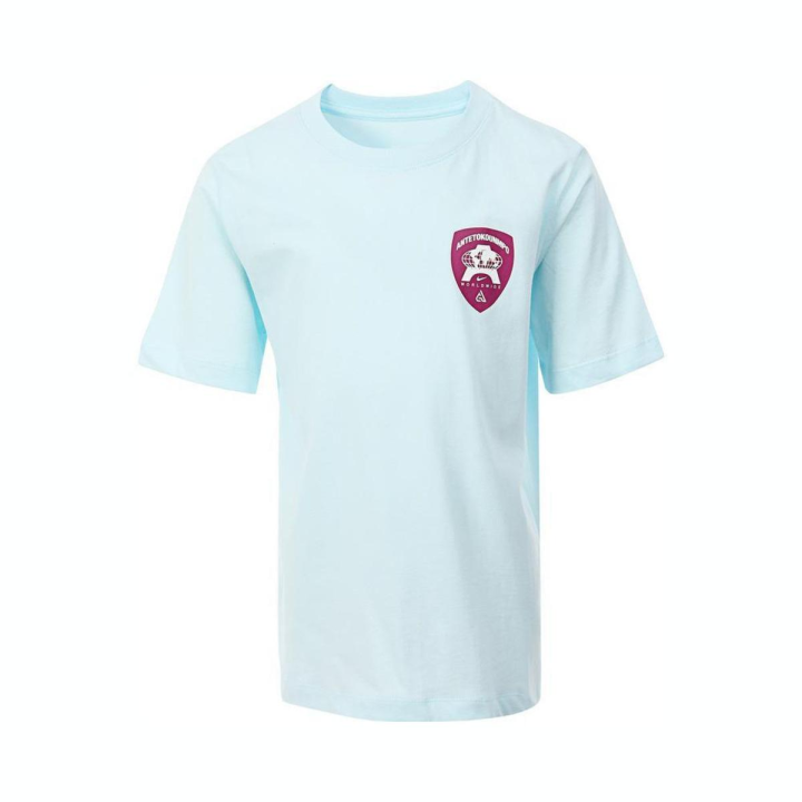 Nike Nike Grade School T Shirts Crew Neck Moderate