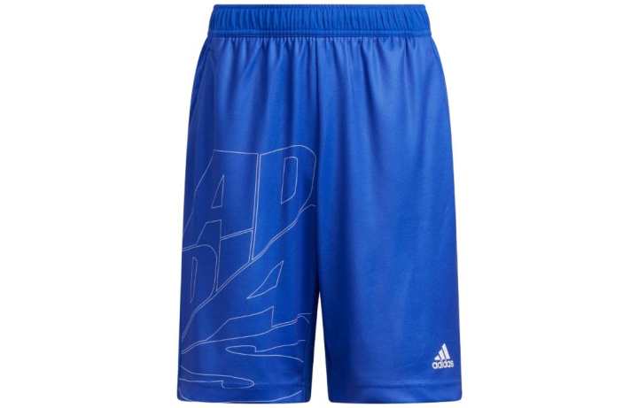 Adidas Adidas Kids Shorts Moderate