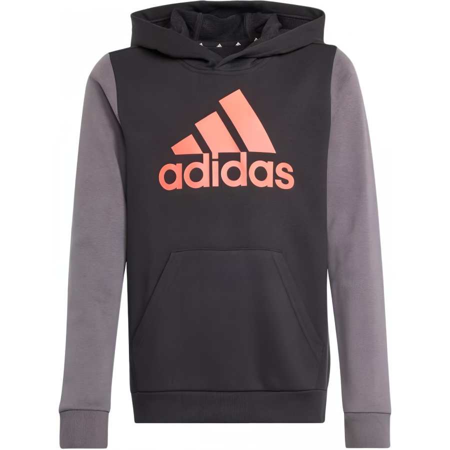 Adidas Adidas Grade School Sweatshirts Hooded Moderate