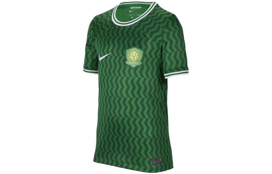 Nike Nike Dri FIT Soccer Apparel Fan Edition 2024 Season, Beijing Guoan Home Kids' Canyon Green