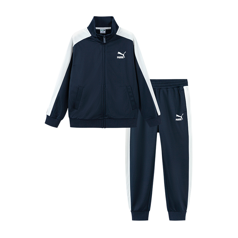 PUMA Casual Sportswear SportstyleCLASSICS Purple Blue Unisex