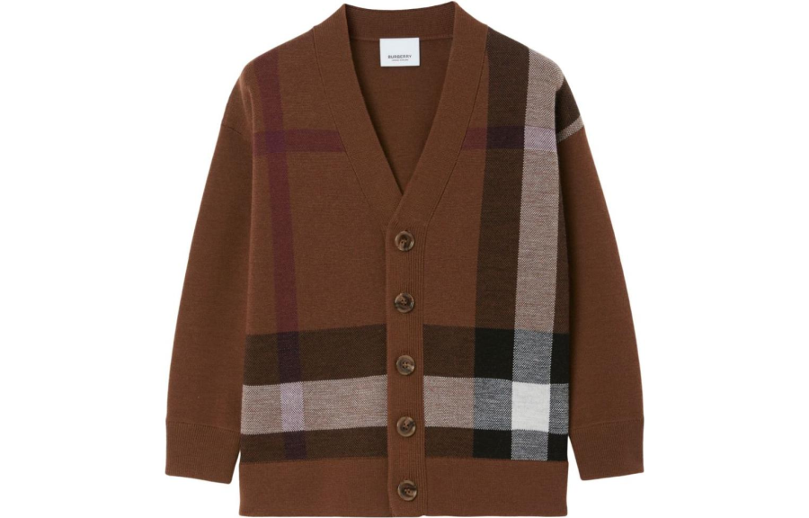 Burberry Kids Sweaters V Neck Moderate