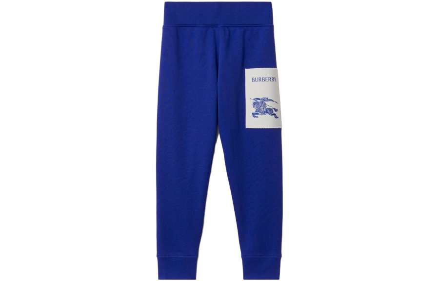 Burberry Burberry Kids Pants Moderate