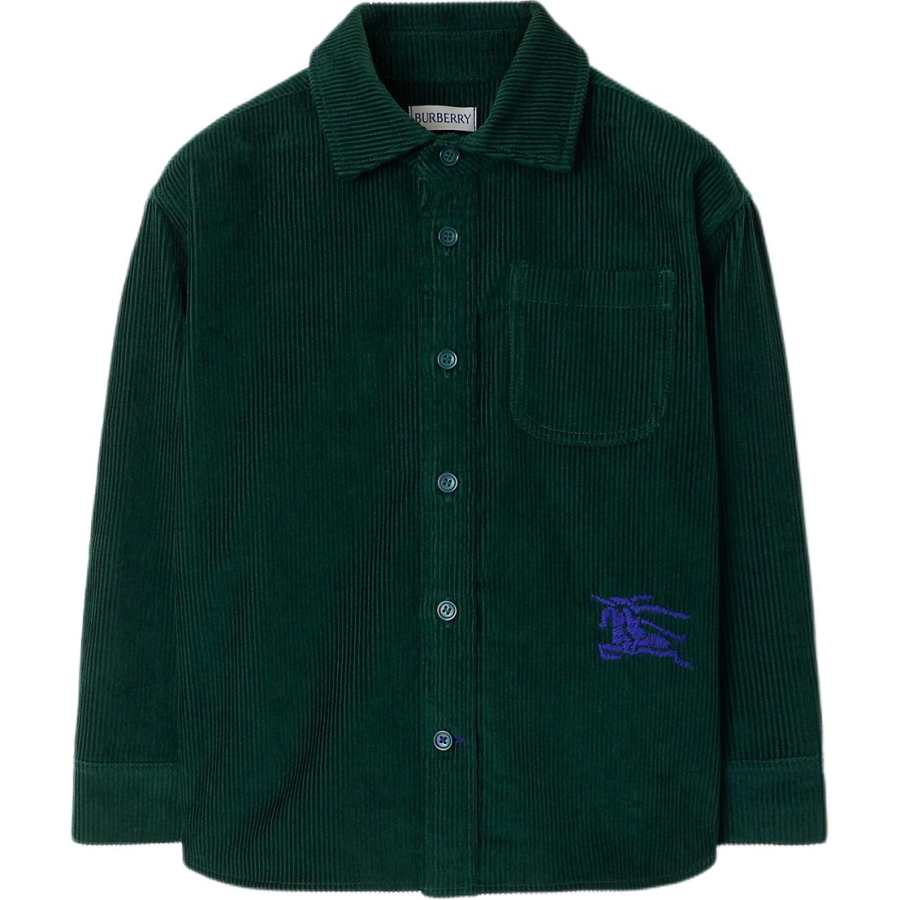 Burberry Kids Casual Shirts Lapel Moderate