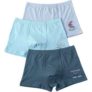 HONGDOUJUJIA Underpants 3 Pack Mixed Color Teenagers